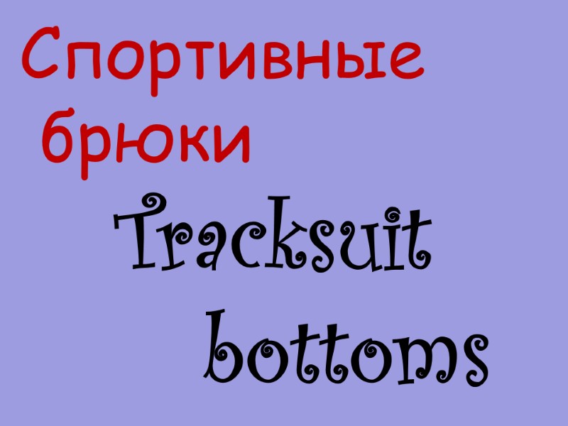 Tracksuit     bottoms  Спортивные  брюки